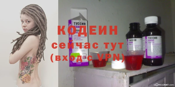 прущие грибы Дмитриев