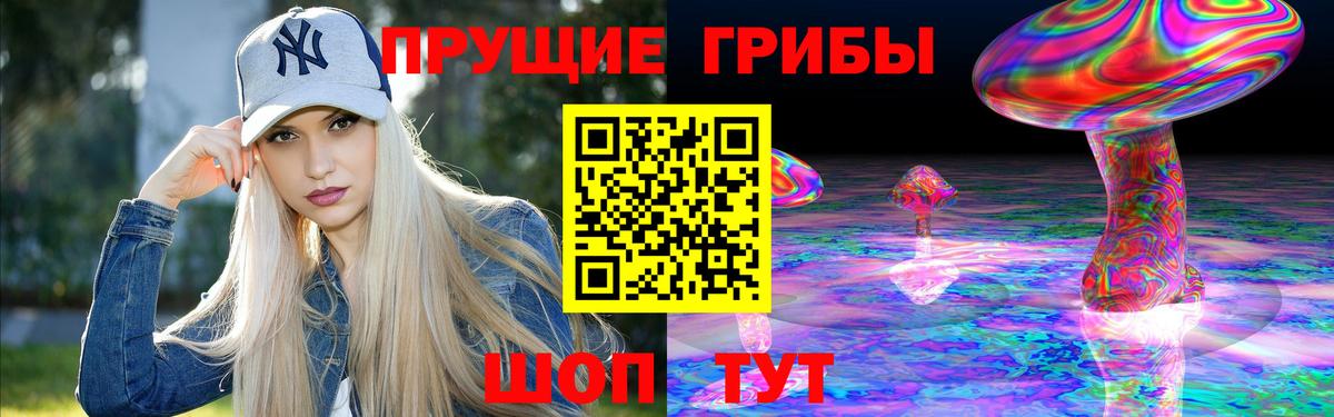 Чистополь  Галлюциногенные грибы Psilocybine cubensis  Вход с VPN 